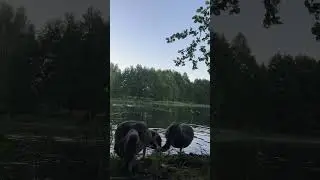 Маним уток 😃.                                       Коняевское водохранилище . #природамать #кайф