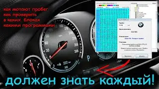 Everything About Car Mileage: How to Check It, Where It’s Stored, and What Software Is Used to Ad...
