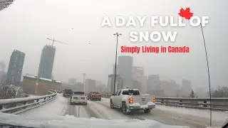 Just Another Day in Downtown Calgary/Simply Living in Canada