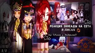 ~Реакция Эннеады на Сета в лисах~  *Ау*