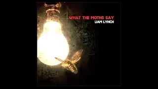 What the Moths Say - Available Now (Liam Lynch)