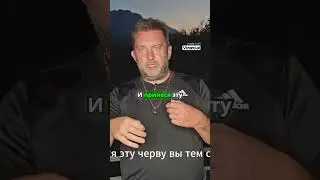 Узнайте секреты успешного проноса мастей и стратегии игры в карты!