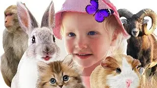 Diana and all the animals