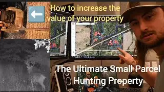 Increasing the Value of Your Hunting Property: Access, TSI, Sanctuary