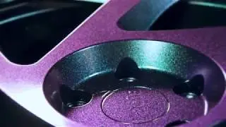 Protect_DIP Chameleon