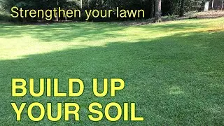 Revive SOIL to have your BEST LAWN | Carbon apps to grass