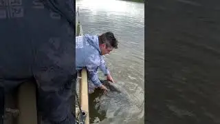 Сомик пошел домой.