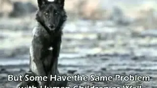 The Propaganda Behind The Pet Extinction Bills