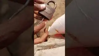 How To Open Lock Without key |How to Unlock A Lock|