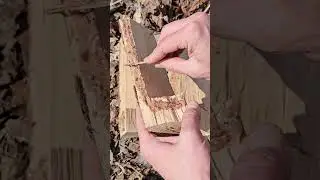 How to find and use pine/spruce resin 🌲
