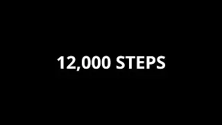 12000 STEPS