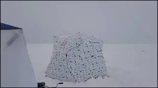 1 января 2024 года, озеро Салтаим.