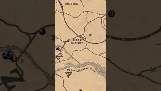 Madam Nazars Location) For 7/24 - RDR2 Online, #shorts-#shortsvideo,madam nazar location #rdr2