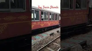Toy Train Shimla | Himachal Pradesh | #toytrain #toytrainshimla #shimla #himachal #himachalpradesh