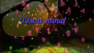 Тыныч йокы, тэмле тош
