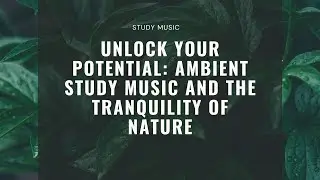 Unlock Your Potential: Ambient Study Music and the Tranquility of Nature