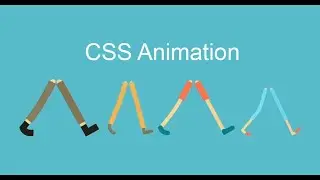 CSS Animation || CSS Uzbek || Animation || Transition