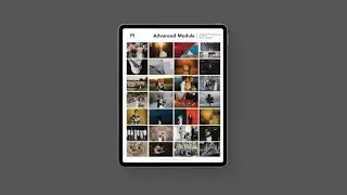 Advanced Module: Digital Portfolios & Critique