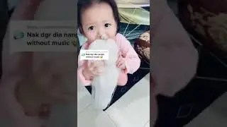 MENGAMUK BANTAL BUSUK KENA CUCI 🤣 !