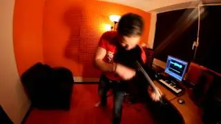 ANIMALS - Chives Violin Concept
