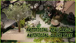 Olive Tree | ZEN Garden