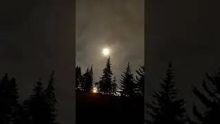 BLUE SUPERMOON 2024 - Sturgeon Moon - August 2024 Full Moon #shorts