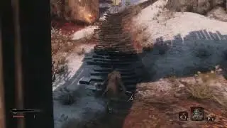 SEKIRO Shadows die twice