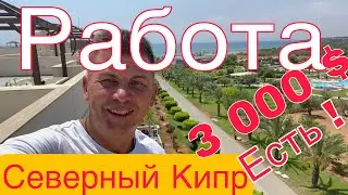 РАБОТА на Северном Кипре? Кто требуется? Как найти? Сколько платят? Потребности БИЗНЕСА в работниках