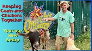 Automate Your Livestock! | Why We Like this Configuration Better