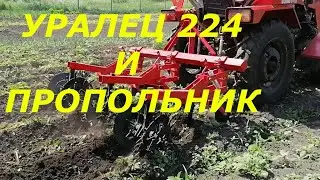 ЖИЗНЬ В ДЕРЕВНЕ//Полим, сажаем, поливаем//