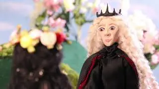 Dark Pomegranate-  Final Stop Motion Animation