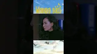 نتوانست شکست را بپذیرد #shorts #woundedbirds #yaralikuslar