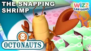 ‪@Octonauts‬