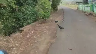JALUR DESA NGETREP-JABON