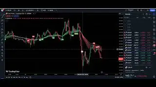 Only Profit scalping trading：New Buy Sell indicator｜｜ work in forex and crypto, stock market 1 5min