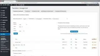 How to translate ACF custom fields with WPML