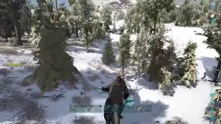 Dbd