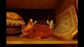 КОТИК НАШЁЛ СЕБЕ НОВЫХ ДРУЗЕЙ, ПРОХОЖДЕНИЕ STRAY #2