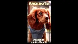 Анекдоты продвинутые СОБАКИ 21-го века