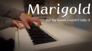 Marigold (Phyxinon's arr.) (Attempt)