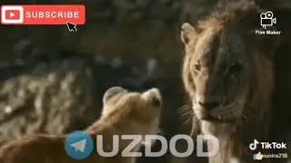 Uzbek priko'lari