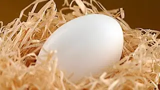 Яйцо куриное Полезный холестерин Фитнес питание