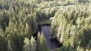 Сова Форелевая ферма. П. Мамонтовка
