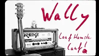 Wally - Lauf, Hamster Lauf (official Videoclip)