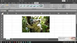 Excel crop an image