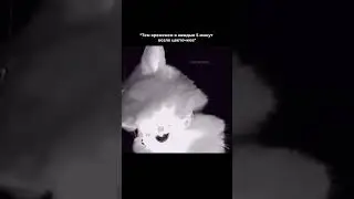 🤪💐 // ekaretineta