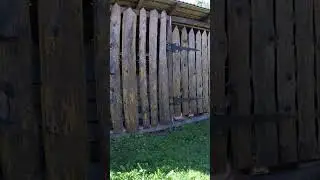Усадьба Лебедь Турочак Республика Алтай Часть 323 #Shorts