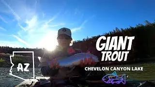 GIANT TROUT- Fly Fishing Chevelon Canyon Lake AZ (Mongollon Rim)