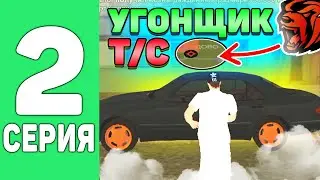 Лучшая работа для 3 лвл - #2 БИСП в Black Russia
