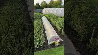 Charles' garden 18th May Somerset UK no dig